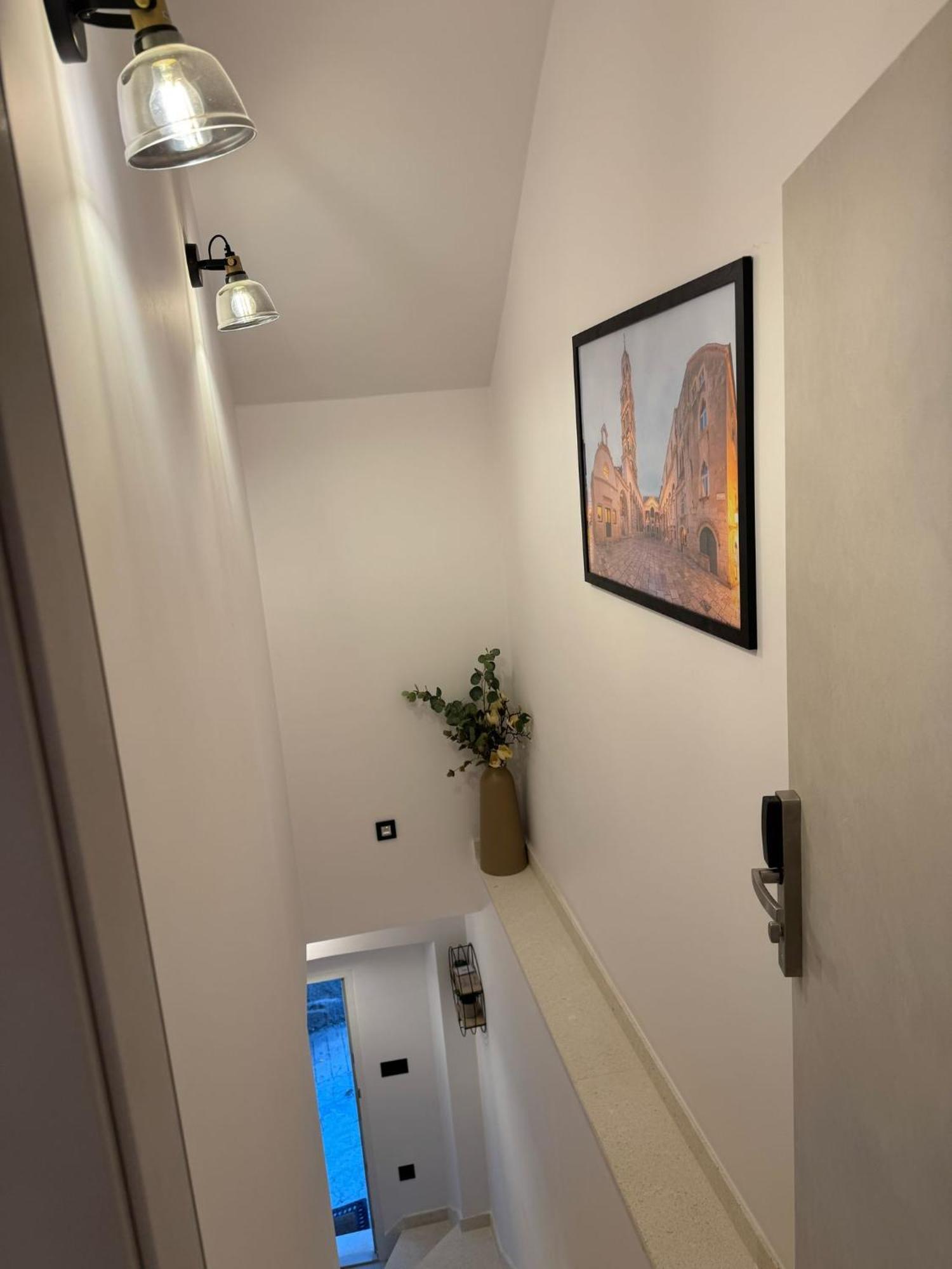 New!!! Deluxe Dino In The Old Town Of Split