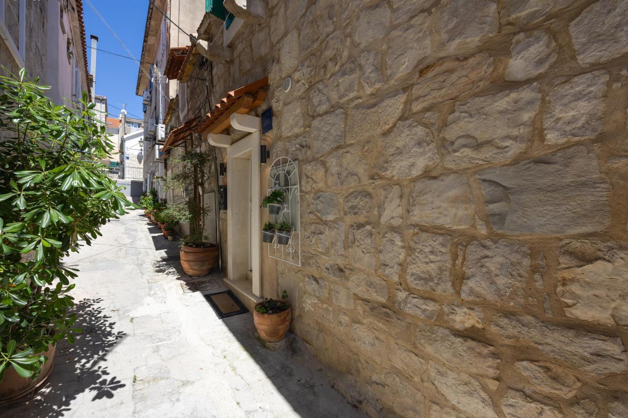 New!!! Deluxe Dino In The Old Town Of